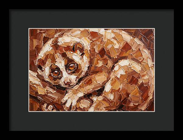 Loris In Earthy Tones