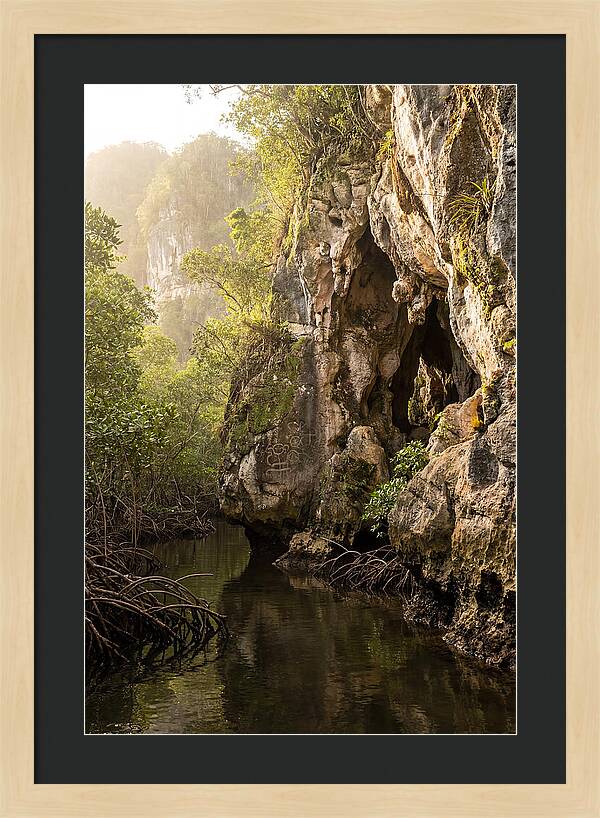Los Haitises Mangrove Caves
