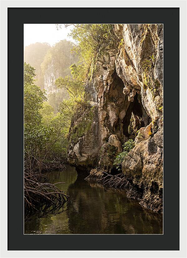 Los Haitises Mangrove Caves