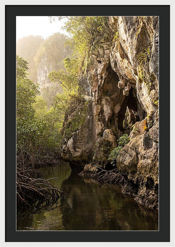 Los Haitises Mangrove Caves