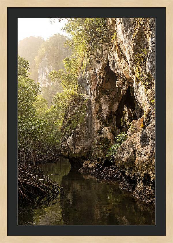 Los Haitises Mangrove Caves