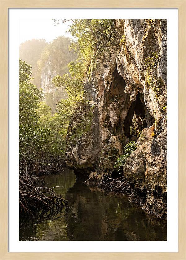 Los Haitises Mangrove Caves