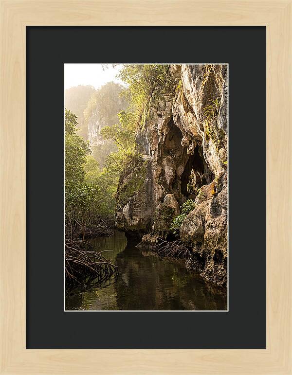Los Haitises Mangrove Caves