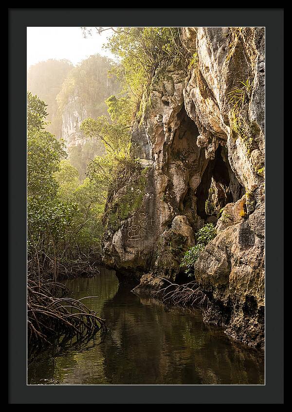Los Haitises Mangrove Caves