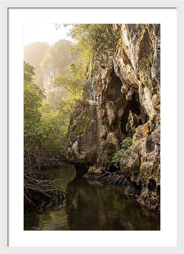 Los Haitises Mangrove Caves