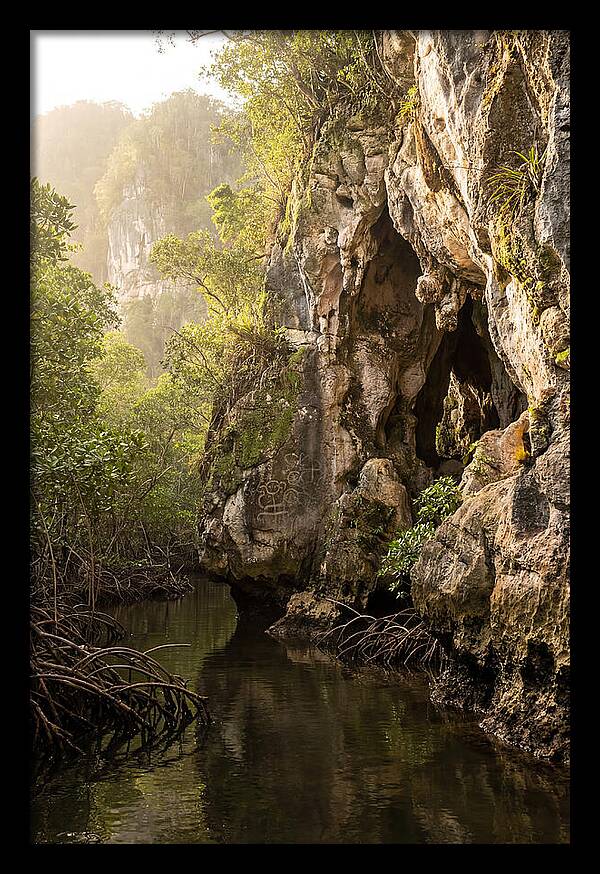 Los Haitises Mangrove Caves