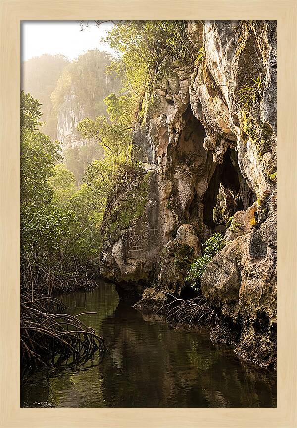 Los Haitises Mangrove Caves