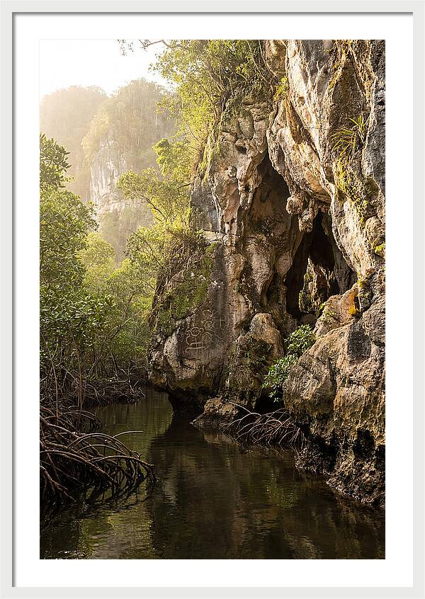 Los Haitises Mangrove Caves