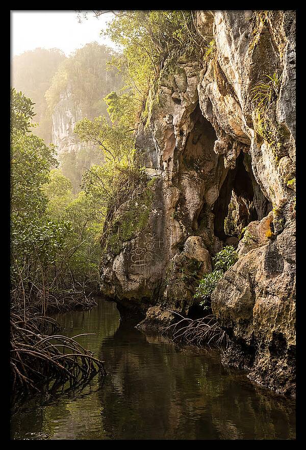 Los Haitises Mangrove Caves