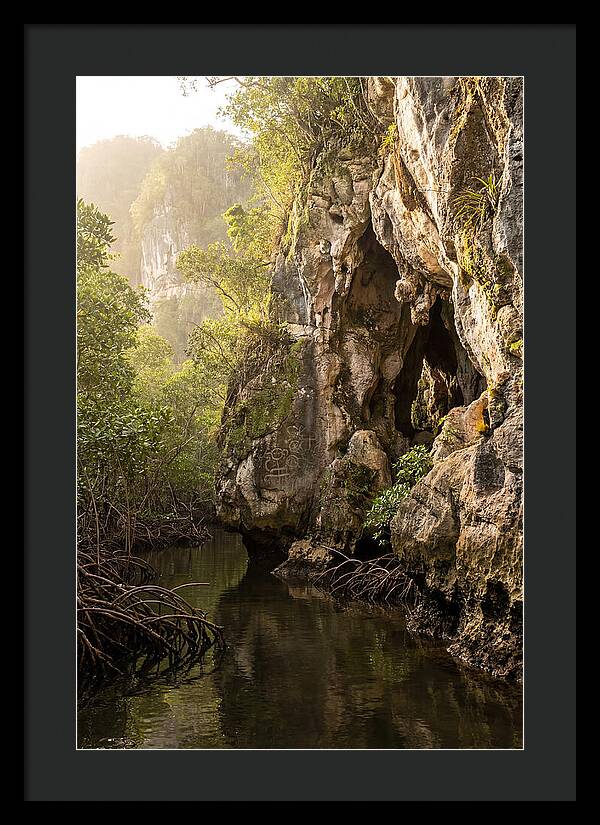 Los Haitises Mangrove Caves