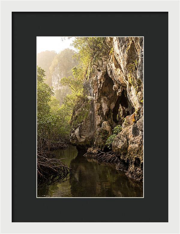 Los Haitises Mangrove Caves