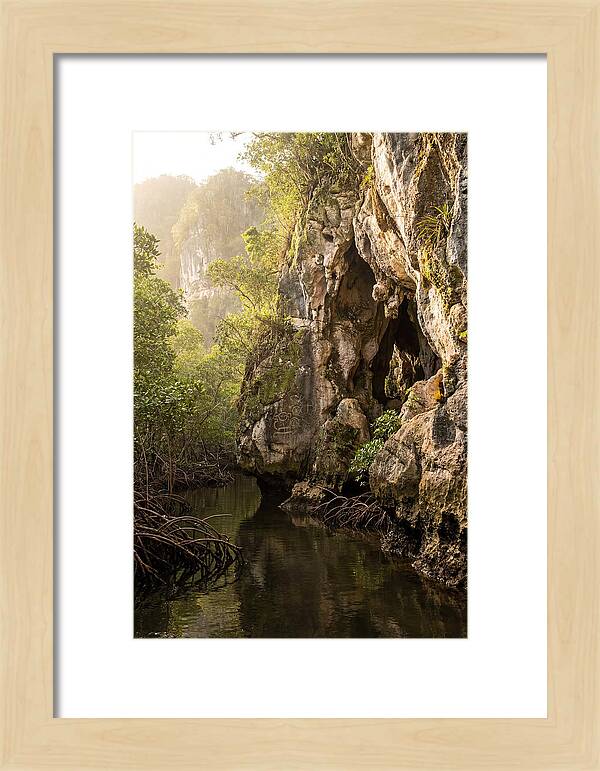 Los Haitises Mangrove Caves