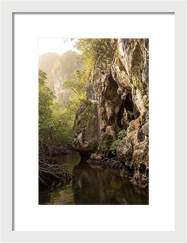 Los Haitises Mangrove Caves