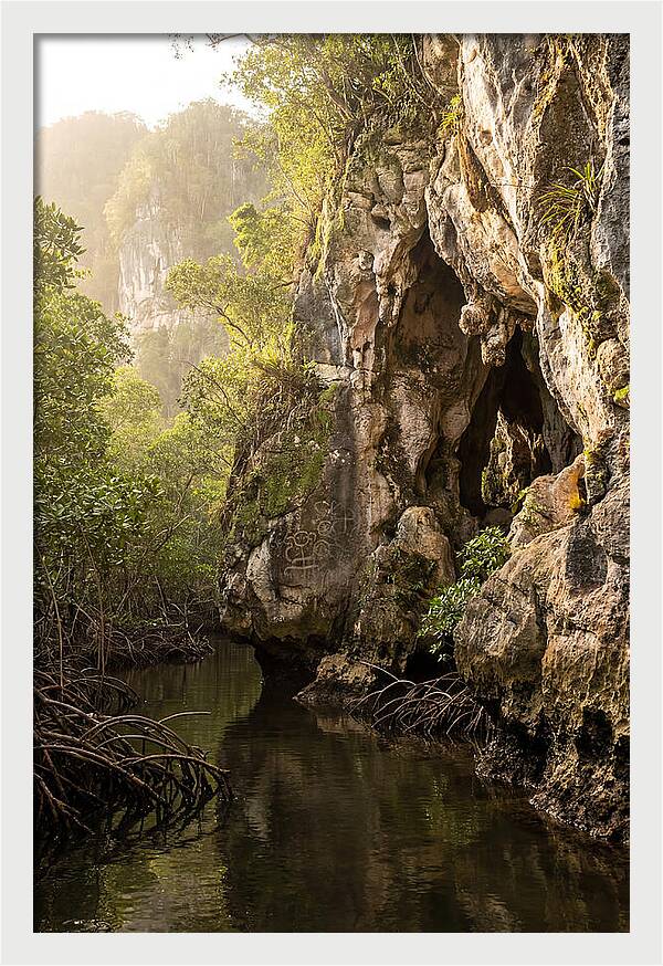 Los Haitises Mangrove Caves