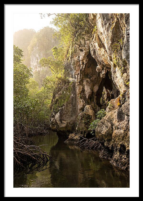 Los Haitises Mangrove Caves
