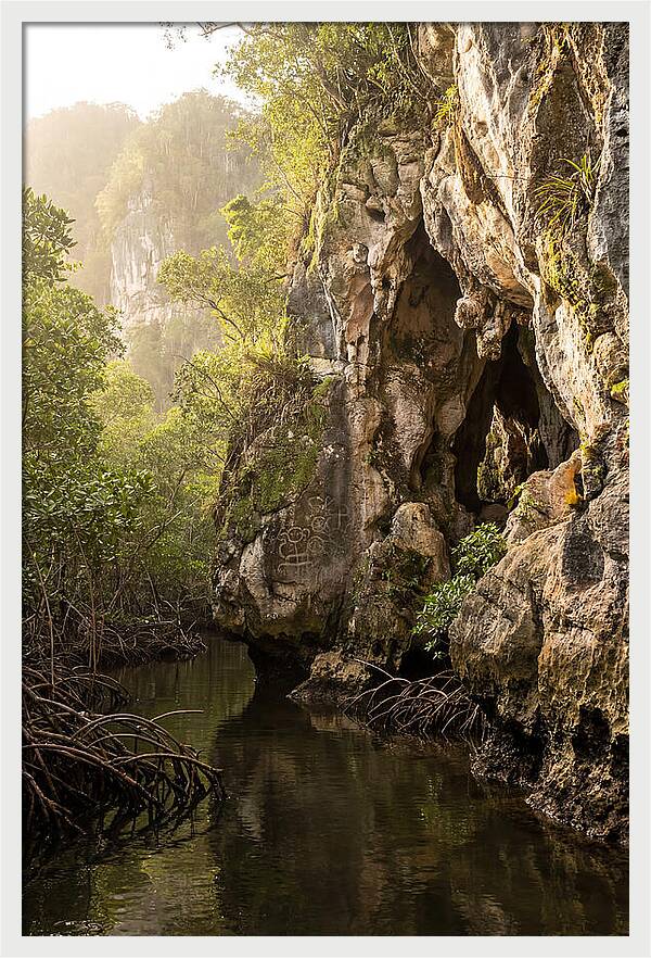 Los Haitises Mangrove Caves