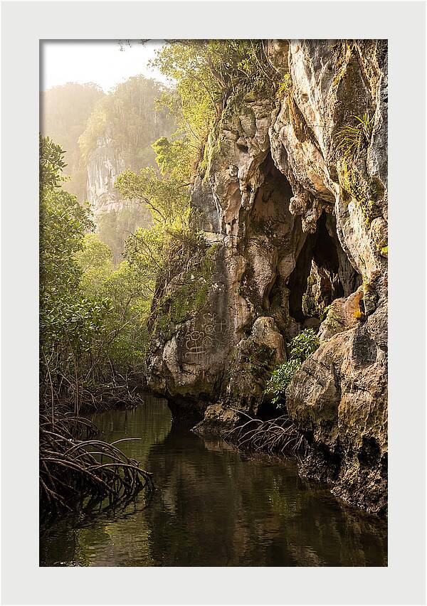 Los Haitises Mangrove Caves
