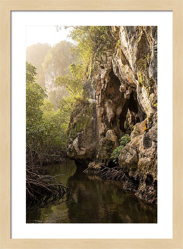 Los Haitises Mangrove Caves
