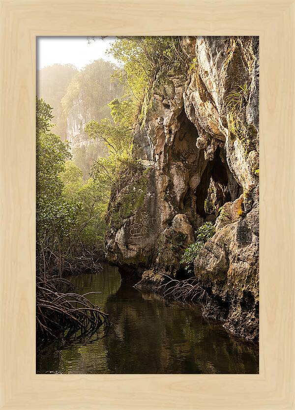 Los Haitises Mangrove Caves