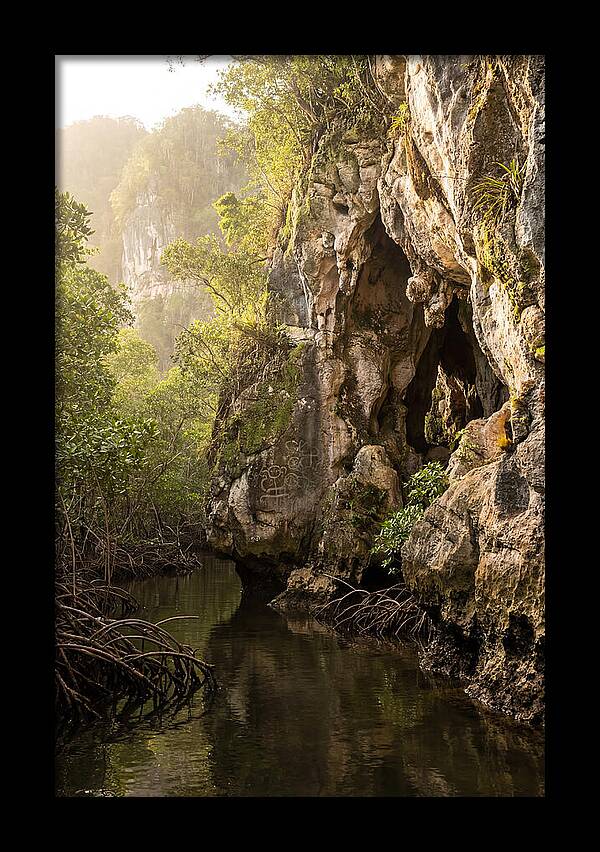Los Haitises Mangrove Caves