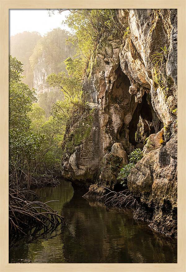 Los Haitises Mangrove Caves