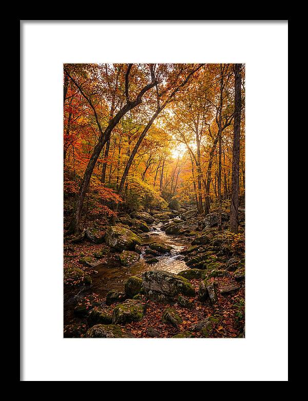 Lost Maples Autumn Serenity