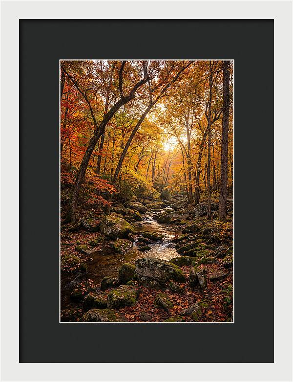 Lost Maples Autumn Serenity