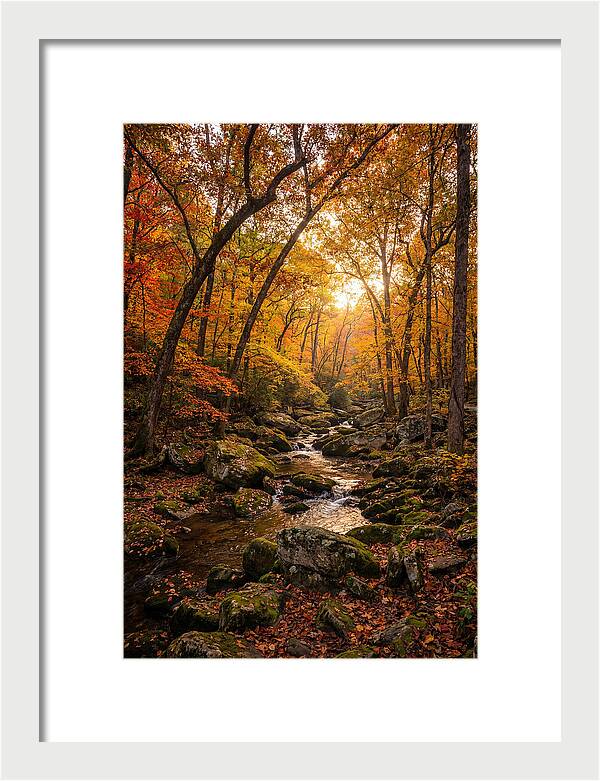 Lost Maples Autumn Serenity