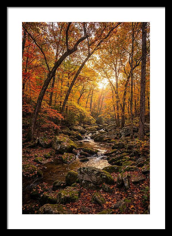 Lost Maples Autumn Serenity