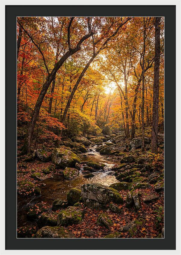 Lost Maples Autumn Serenity