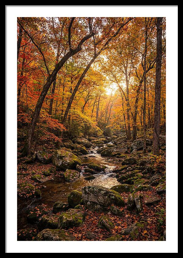 Lost Maples Autumn Serenity