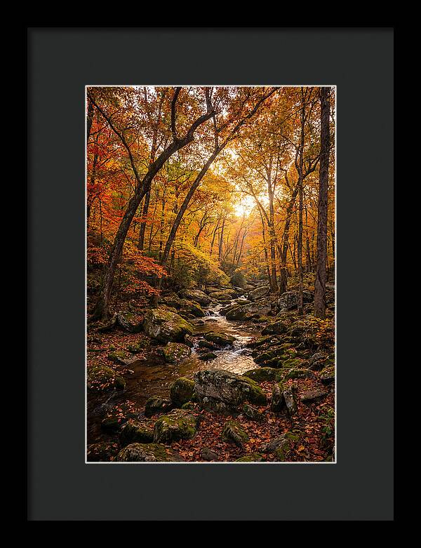 Lost Maples Autumn Serenity