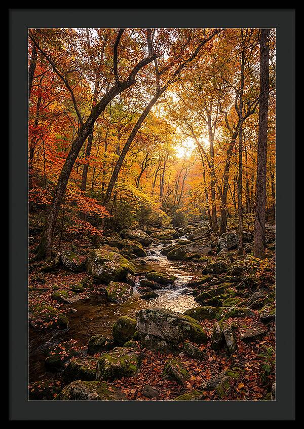Lost Maples Autumn Serenity