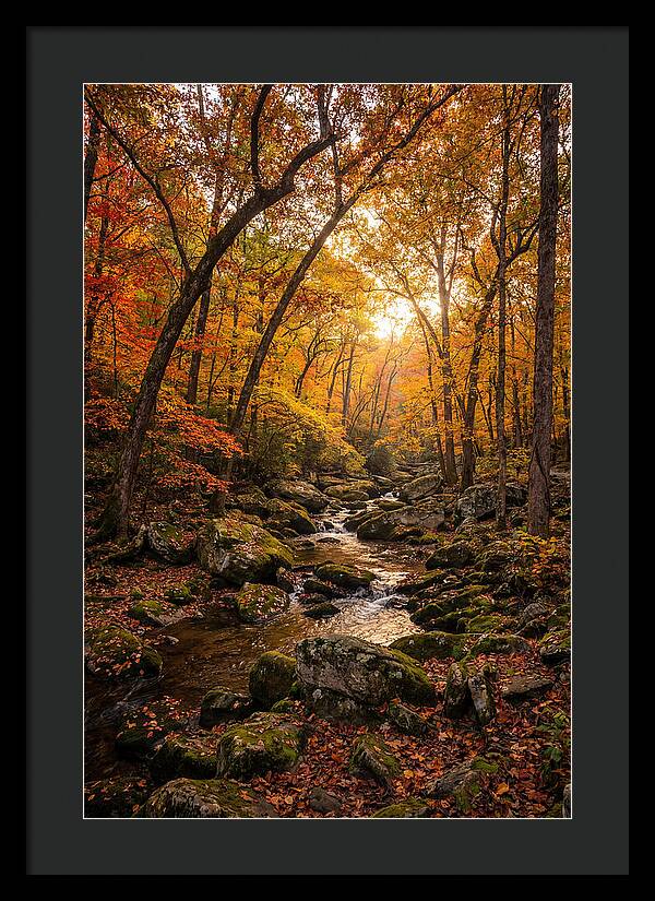 Lost Maples Autumn Serenity
