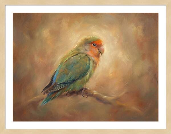 Lovebird In Glow