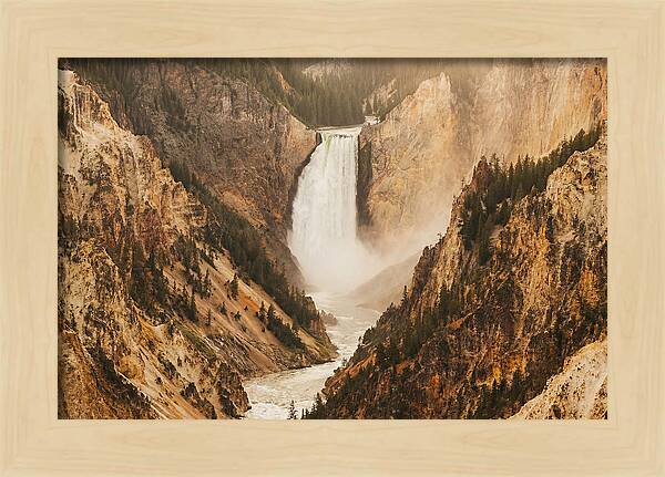 Lower Falls In Yellowstone