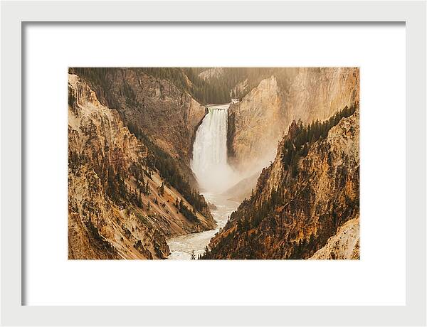 Lower Falls In Yellowstone