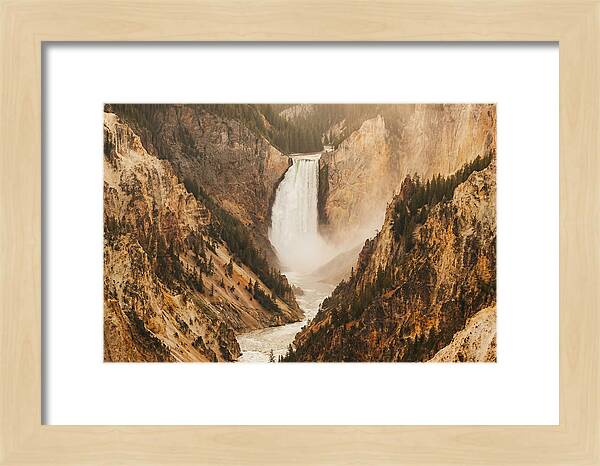 Lower Falls In Yellowstone
