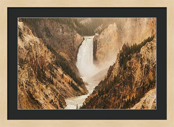 Lower Falls In Yellowstone