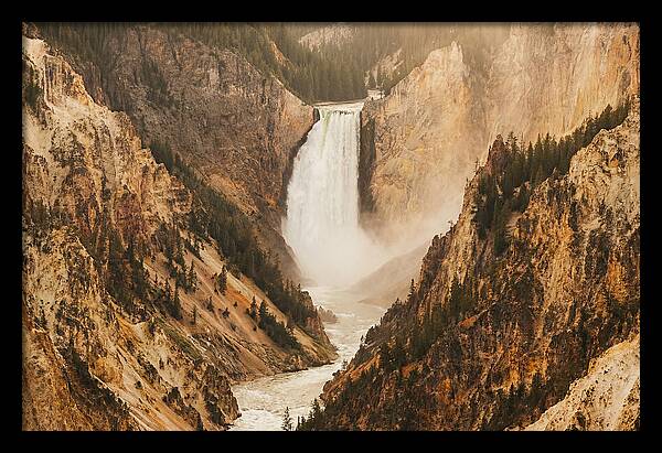 Lower Falls In Yellowstone
