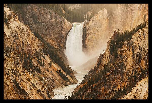 Lower Falls In Yellowstone
