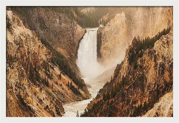 Lower Falls In Yellowstone