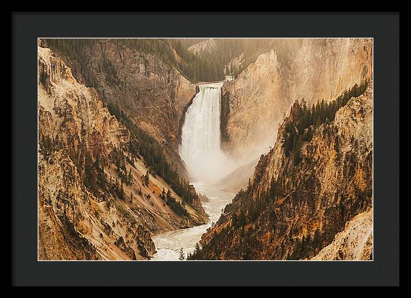 Lower Falls In Yellowstone