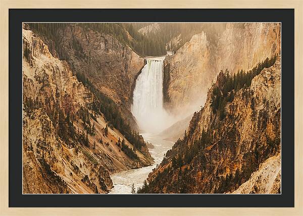 Lower Falls In Yellowstone