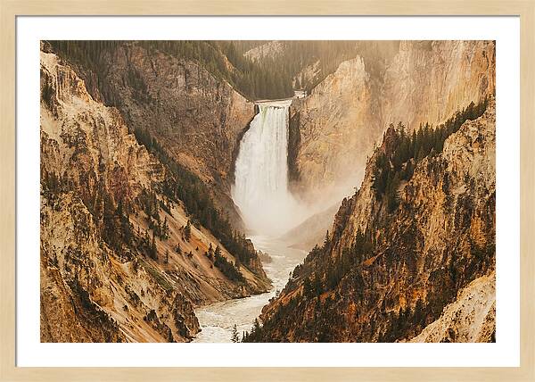 Lower Falls In Yellowstone