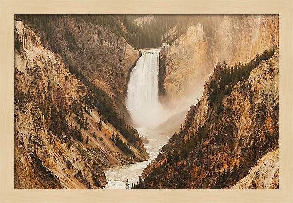 Lower Falls In Yellowstone