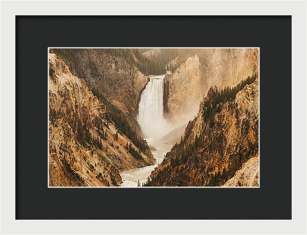 Lower Falls In Yellowstone