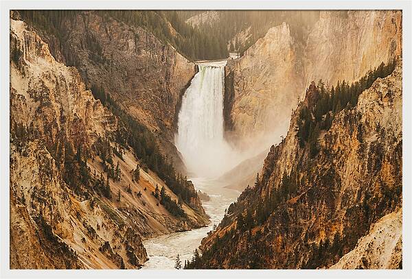 Lower Falls In Yellowstone