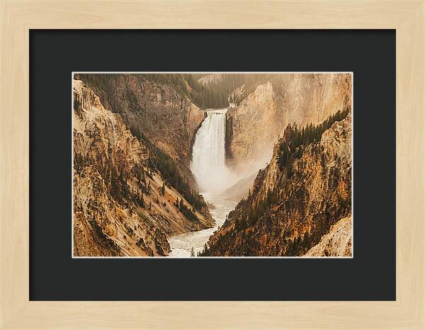 Lower Falls In Yellowstone
