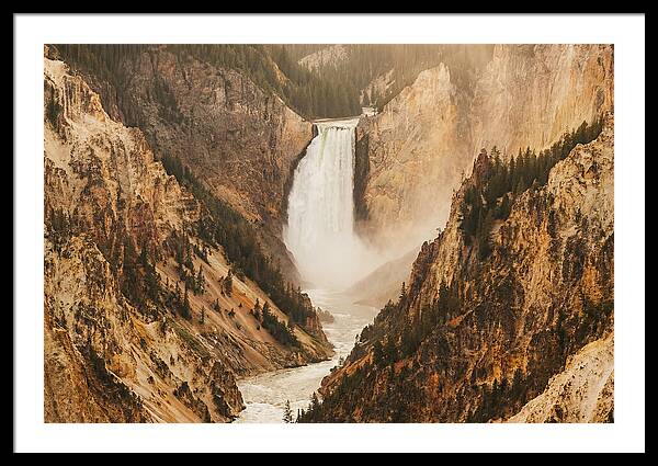 Lower Falls In Yellowstone